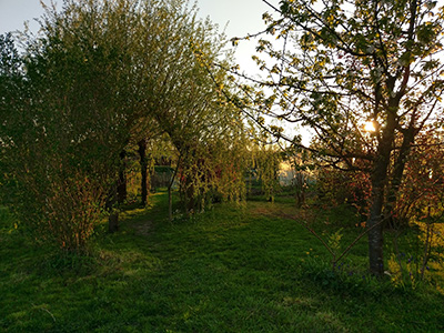 view of the kleingarten