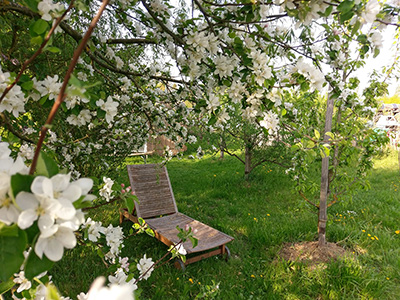 view of the kleingarten