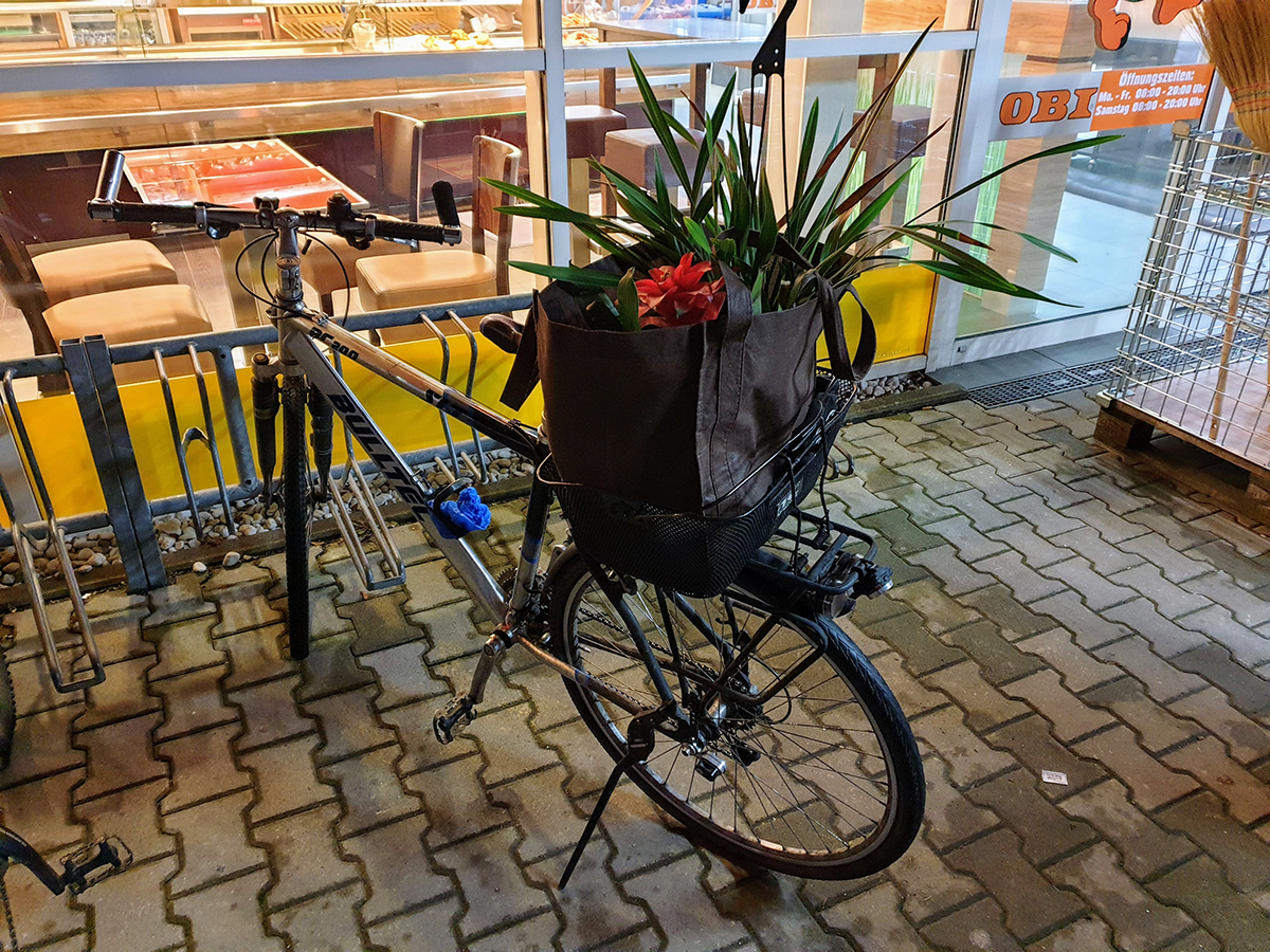 My bike loaded down with plants in the basket