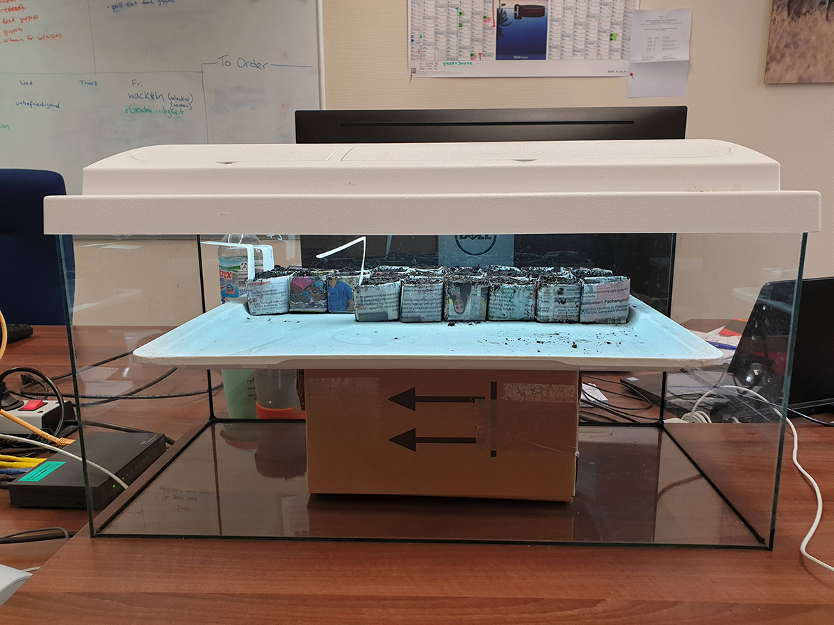 light and tray demo