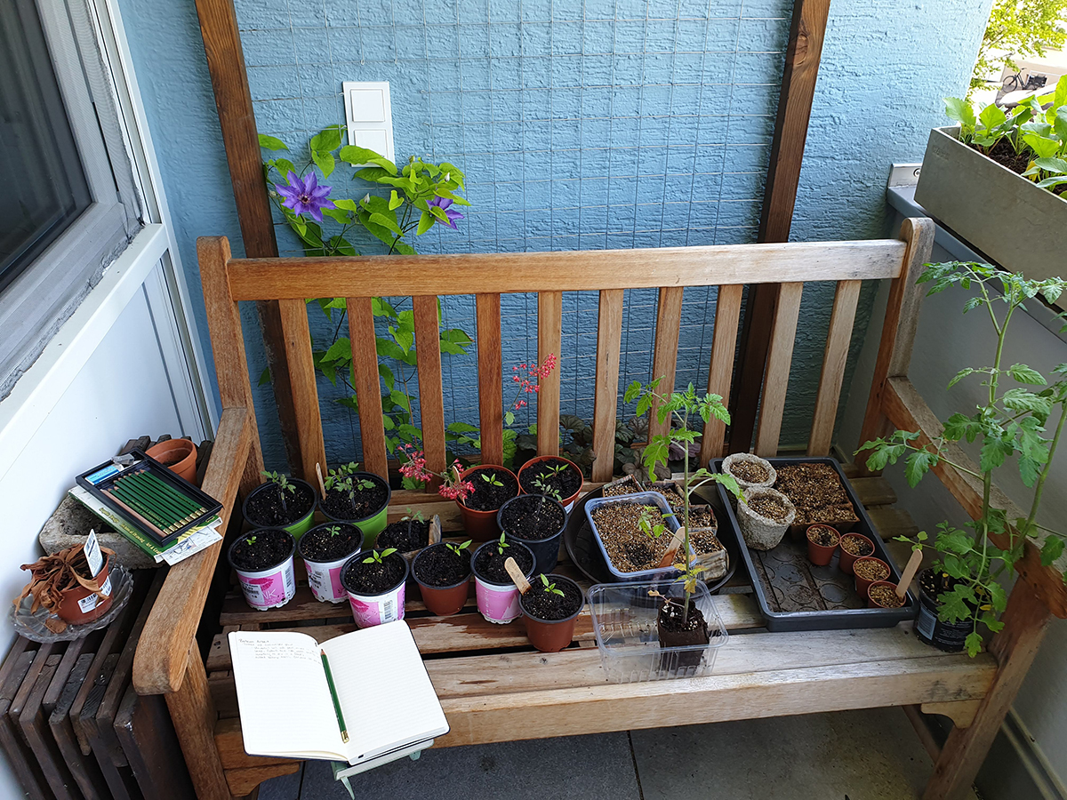 Some of the chaos on the balcony